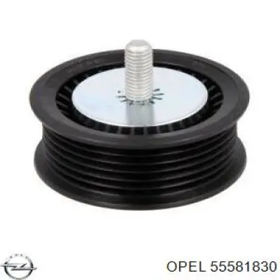 Купити 55581830 Opel Ролик приводного ременя, паразитний