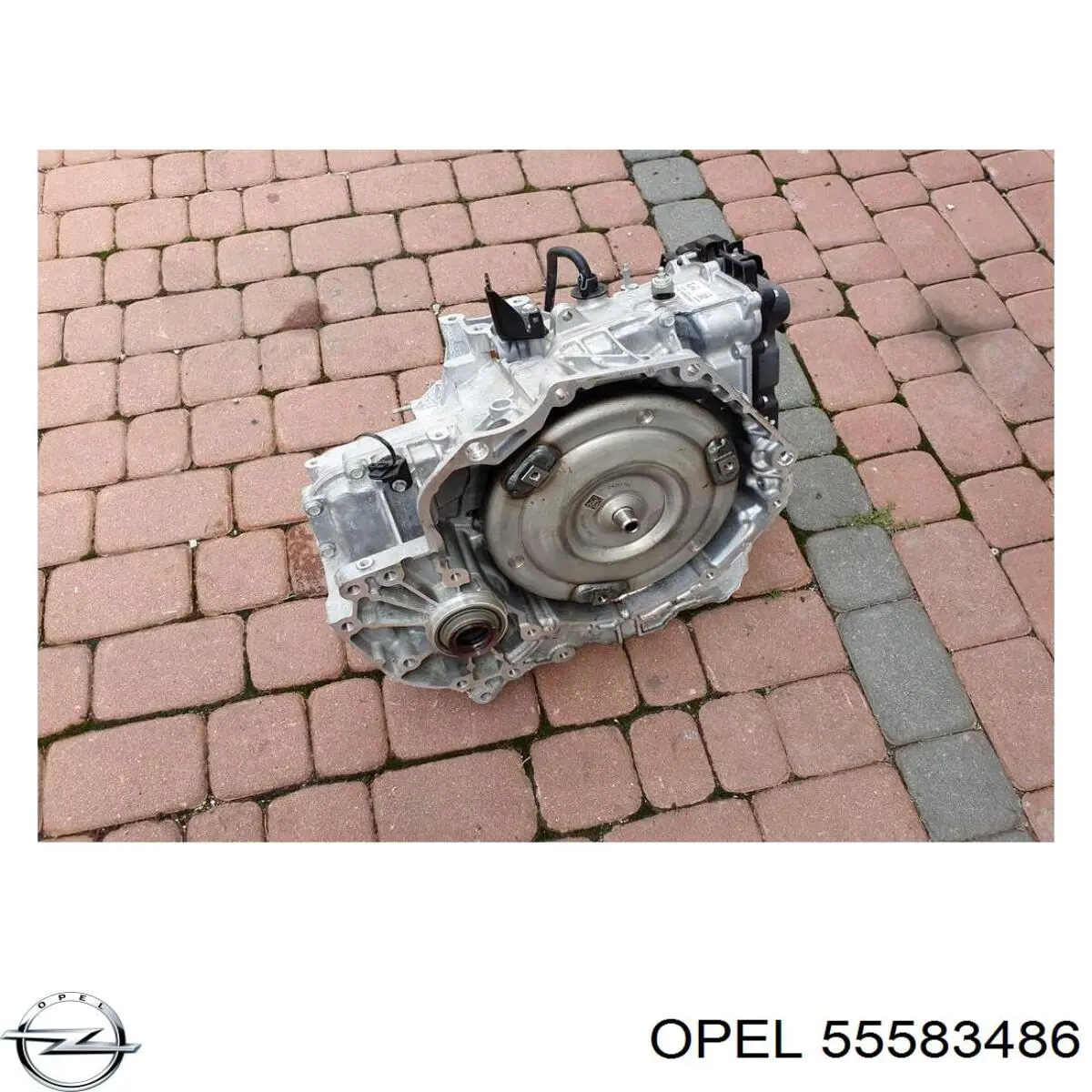 55583486 Opel 