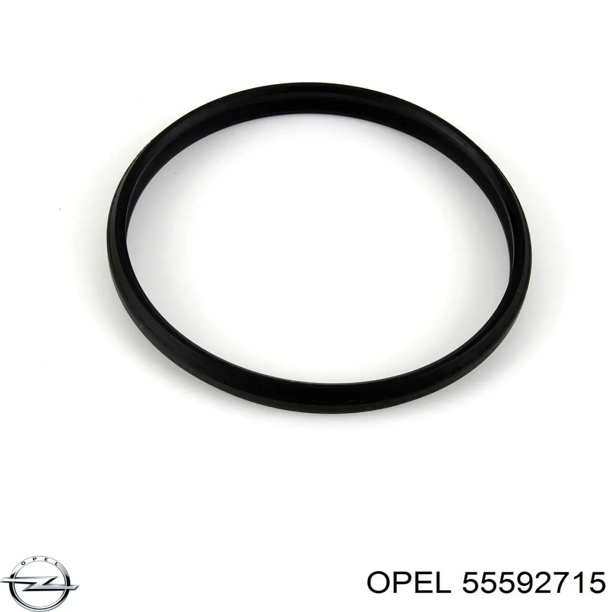 Прокладка регулятора фаз газорозподілу Opel Insignia A (G09) (Опель Інсігнія)