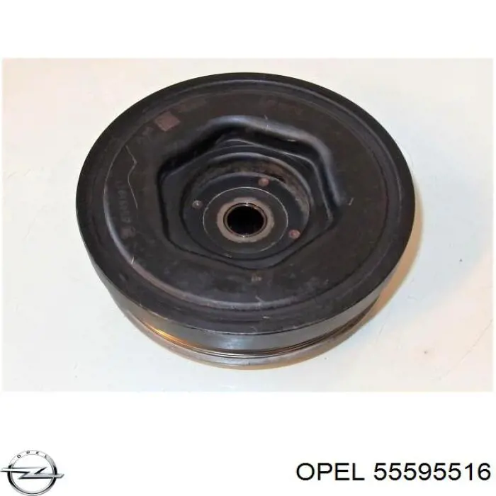 Купити 55595516 Opel Котушка запалювання
