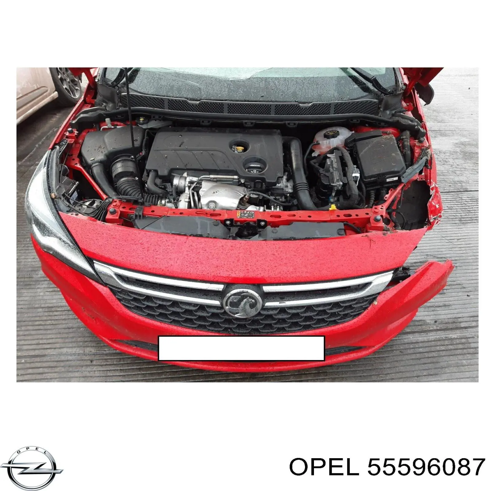 Купити 55596087 Opel Клапанна кришка