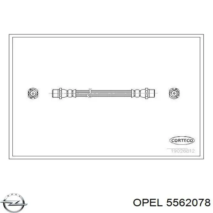 Купити 5562078 Opel Шланг гальмівний задній