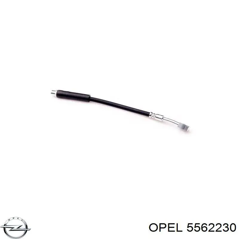 Купити 5562230 Opel Гальмівні шланги передні