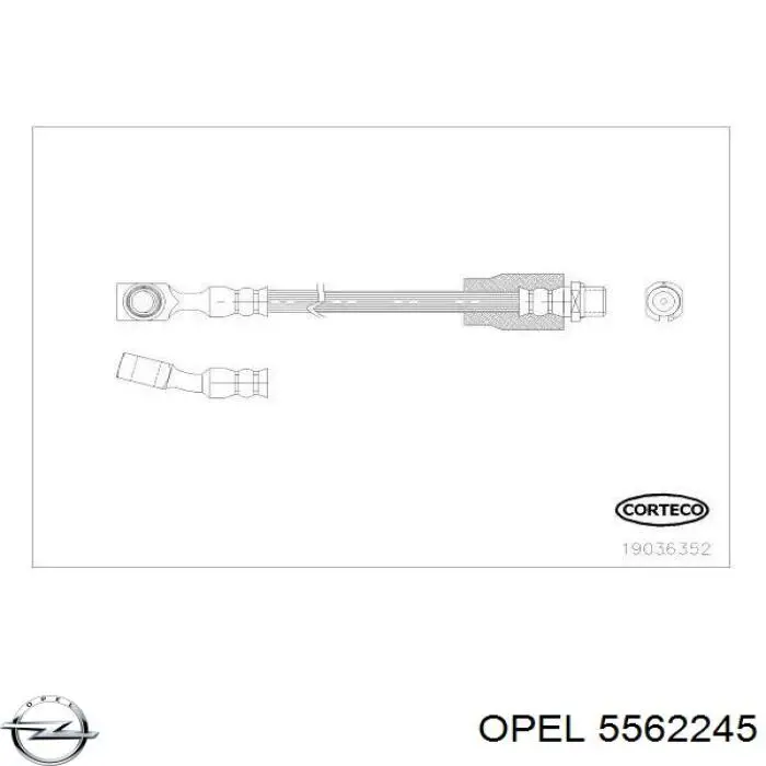 5562245 Opel шланг гальмівний передній