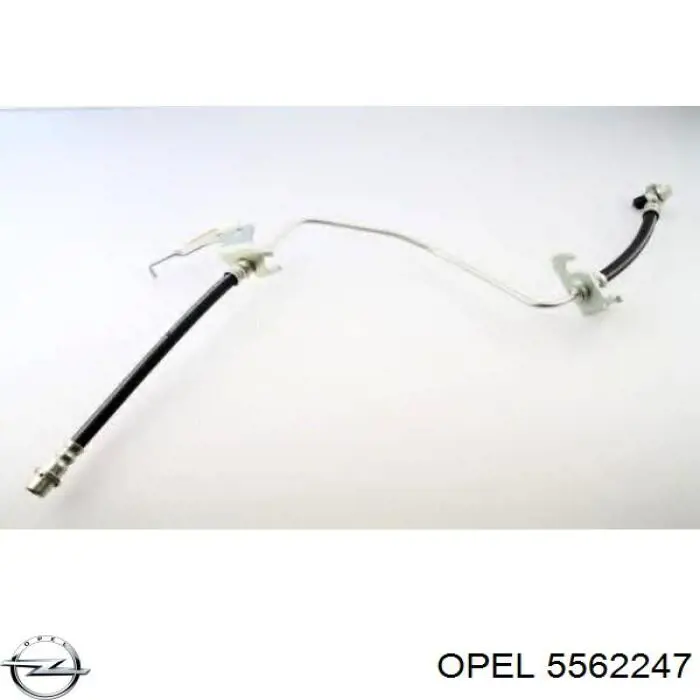 Купити 5562247 Opel Шланг гальмівний задній, лівий