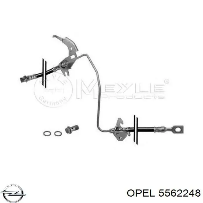Купити 5562248 Opel Шланг гальмівний задній, правий