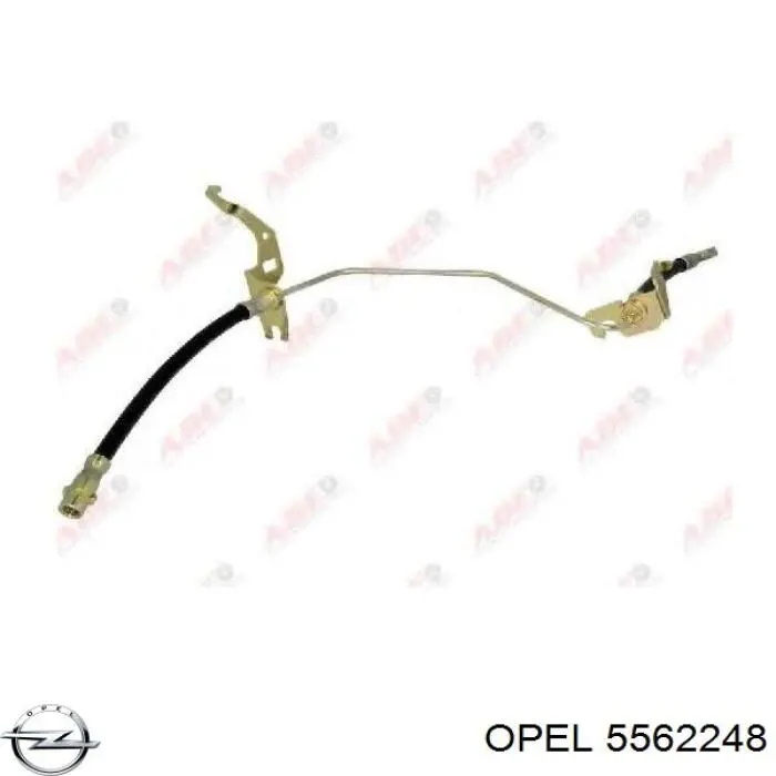 5562248 Opel Шланг гальмівний задній, правий