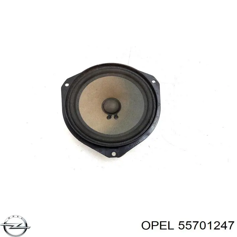 Купити 13448447 Opel Динамік передньої двері