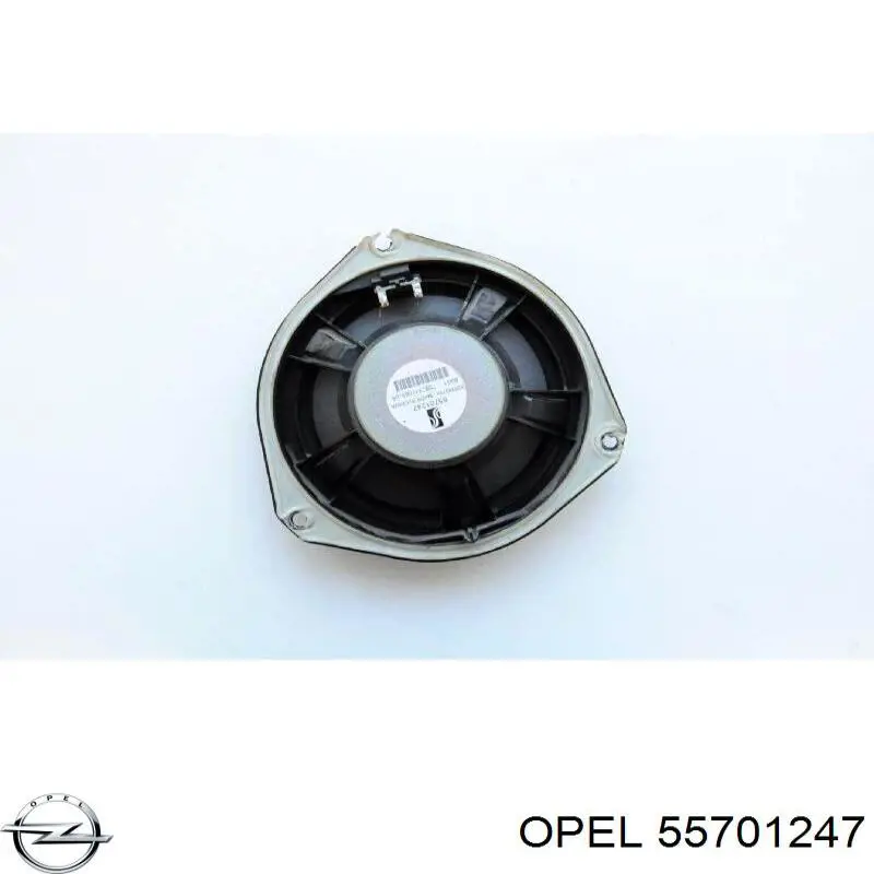 Купити 55701247 Opel Динамік передньої двері