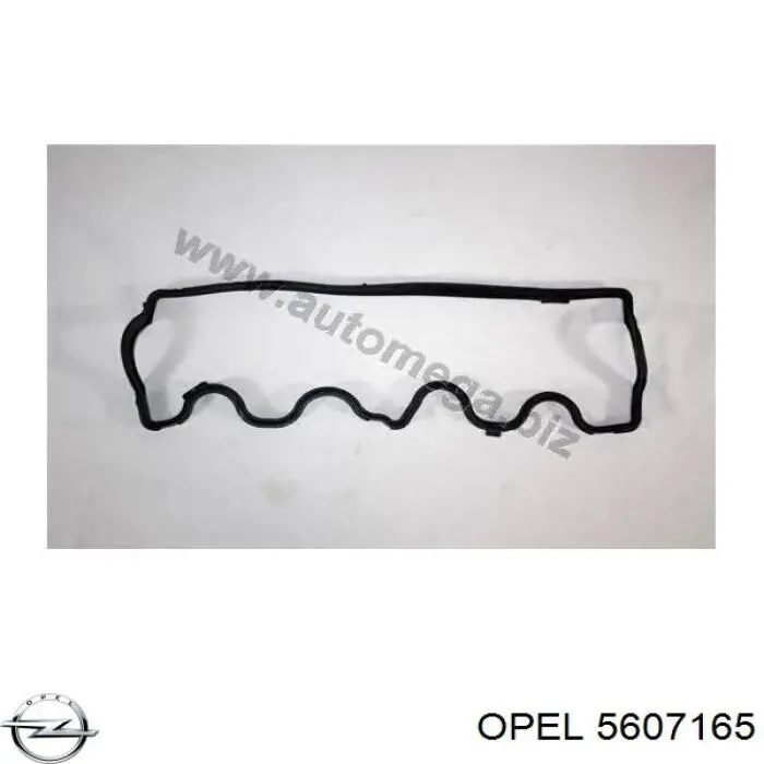 5607165 Opel прокладка клапанної кришки двигуна