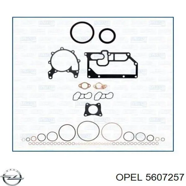 55560600 Opel прокладка головки блока циліндрів (гбц)