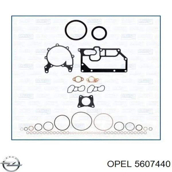 5607440 Opel прокладка головки блока циліндрів (гбц)