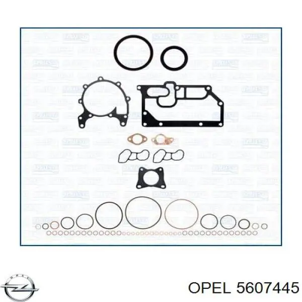 Прокладка ГБЦ Opel 5607445 ціна, від 26.53 USD