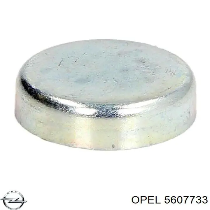 5607733 Opel Заглушка головки блока