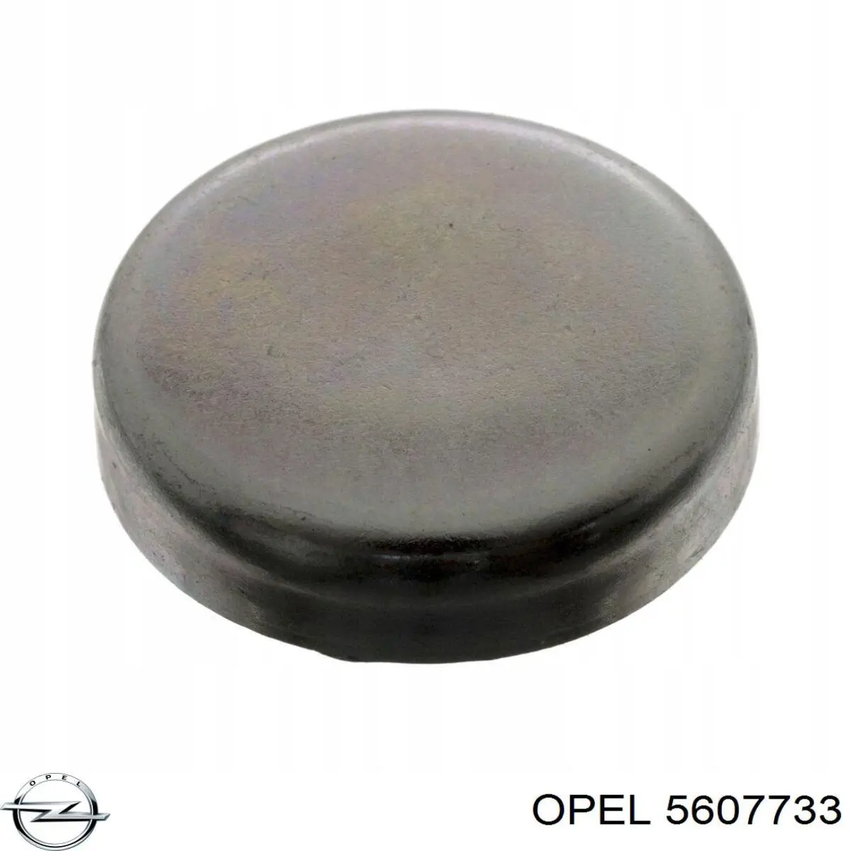 Купити 5607733 Opel Заглушка блоку циліндрів