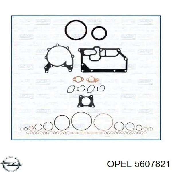 Прокладка головки блока циліндрів (ГБЦ), права Opel Vectra 100 (Опель Вектра)