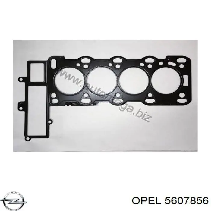 Прокладка ГБЦ Opel 5607856 ціна, від 51.60 USD