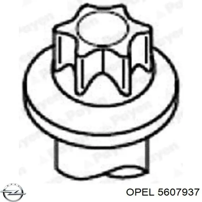 Болт головки блока циліндрів, ГБЦ Opel 5607937 ціна, від 2.37 USD