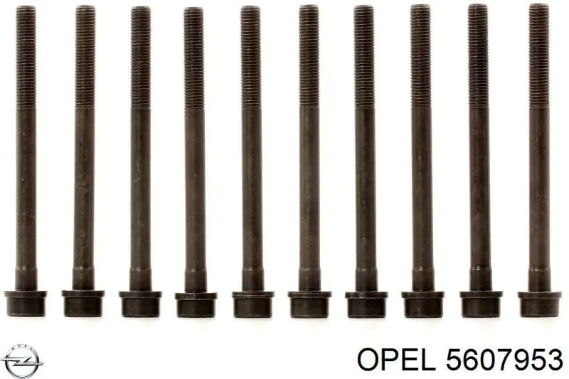 Болт кріплення головки блоку циліндрів 5607953 OPEL