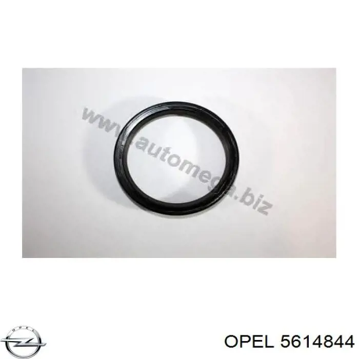Сальник колінвала двигуна, задній Opel 5614844 ціна, від 5.29 USD