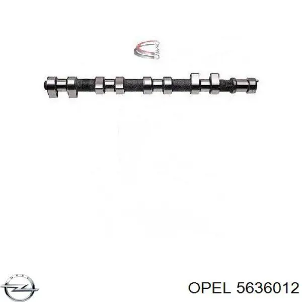 5636012 Opel розподільний вал двигуна випускний