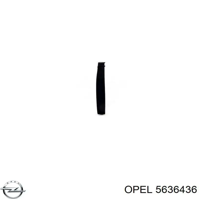 ГРМ ремінь Opel 5636436