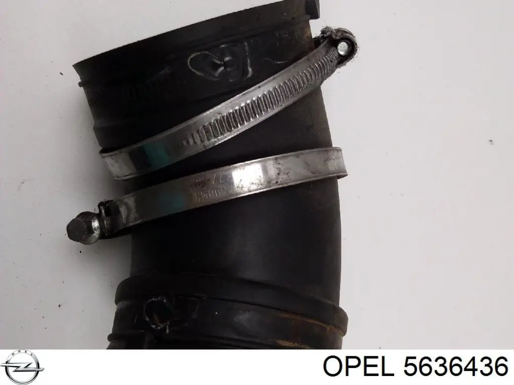 5636436 Opel ремінь грм