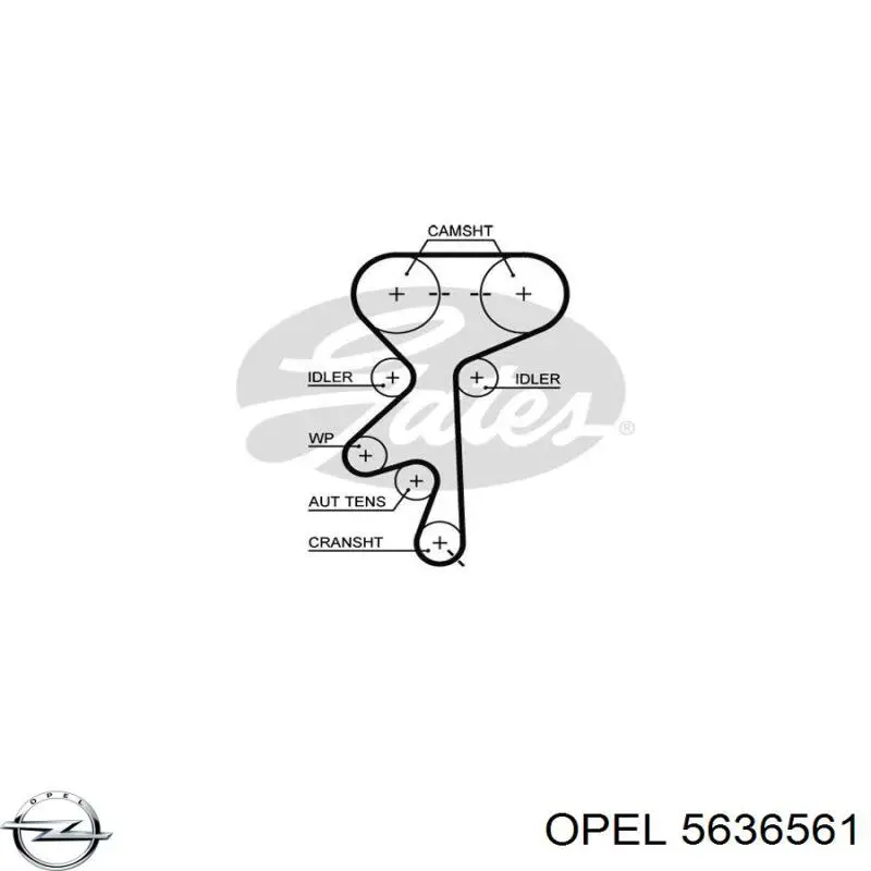 5636561 Opel помпа водяна, (насос охолодження)