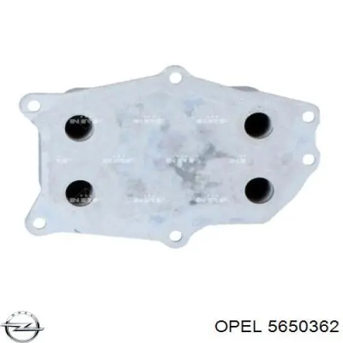 5650362 Opel Радіатор масляний
