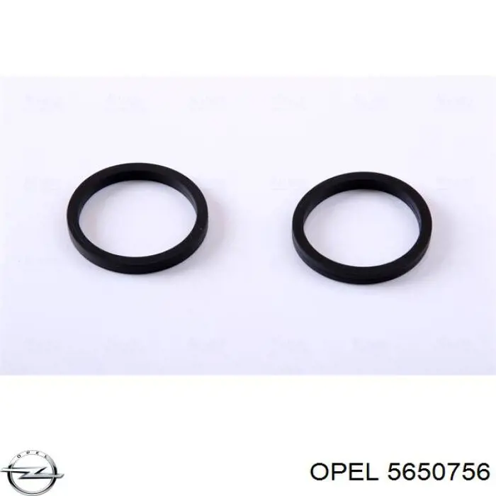 Купити 5650756 Opel Радіатор охолодження, АКПП