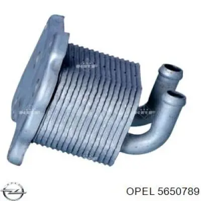 Купити 5650789 Opel Радіатор масляний