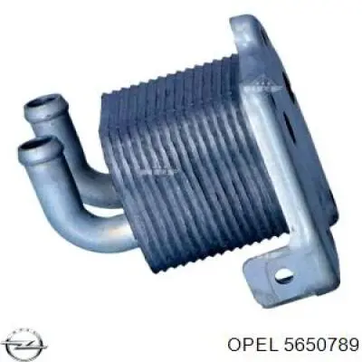 5650789 Opel радіатор масляний
