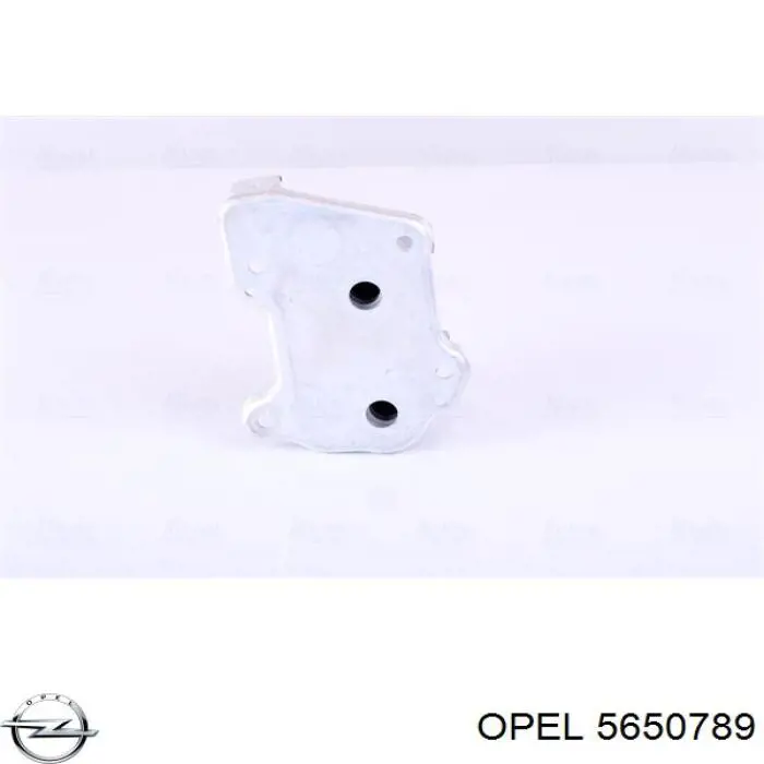 Радіатор масляний Opel 5650789 ціна, від 49.24 USD