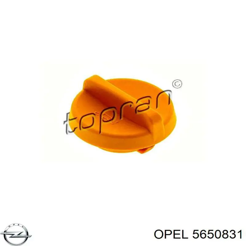 Кришка маслозаливной горловини Opel 5650831