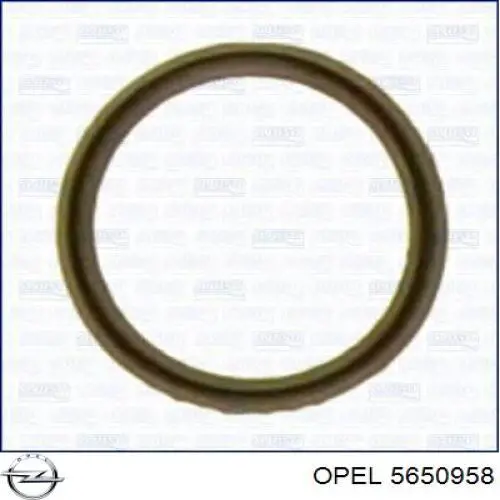 Купити 5650958 Opel Прокладка радіатора масляного