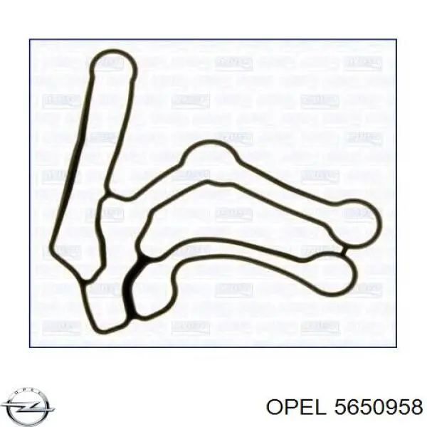5650958 Opel прокладка радіатора масляного