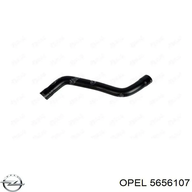 Купити 24414342 Opel 