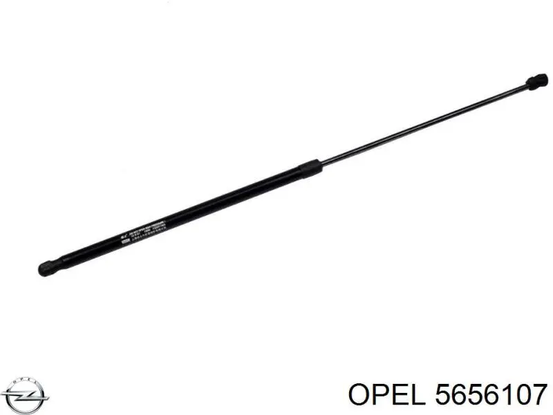  Opel 24414342 ціна, від 3.38 USD