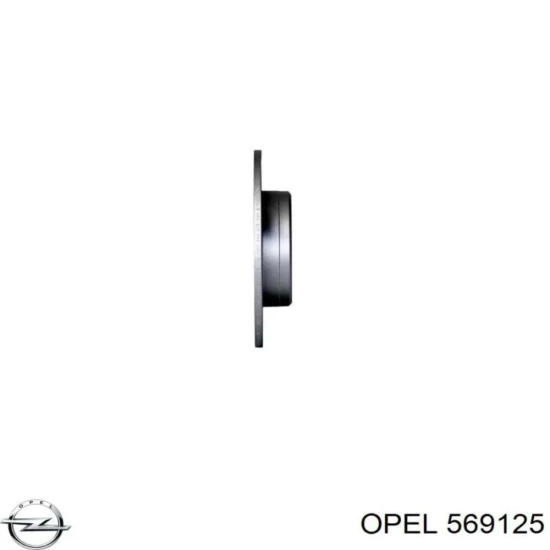Диск гальмівний задній Opel 569125