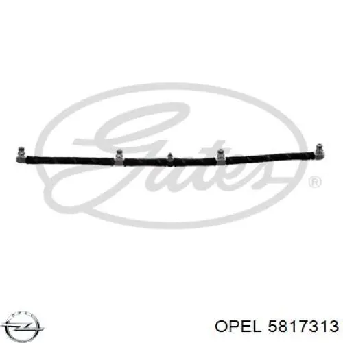 Купити 5817313 Opel Трубка паливна, зворотня від форсунок
