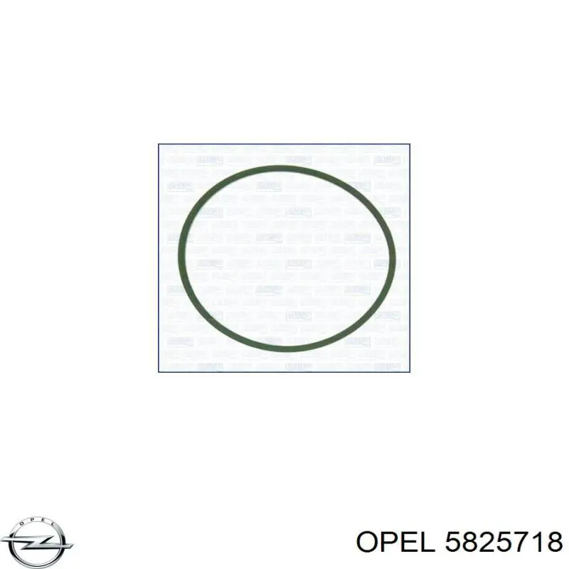 5825718 Opel прокладка дросельної заслінки