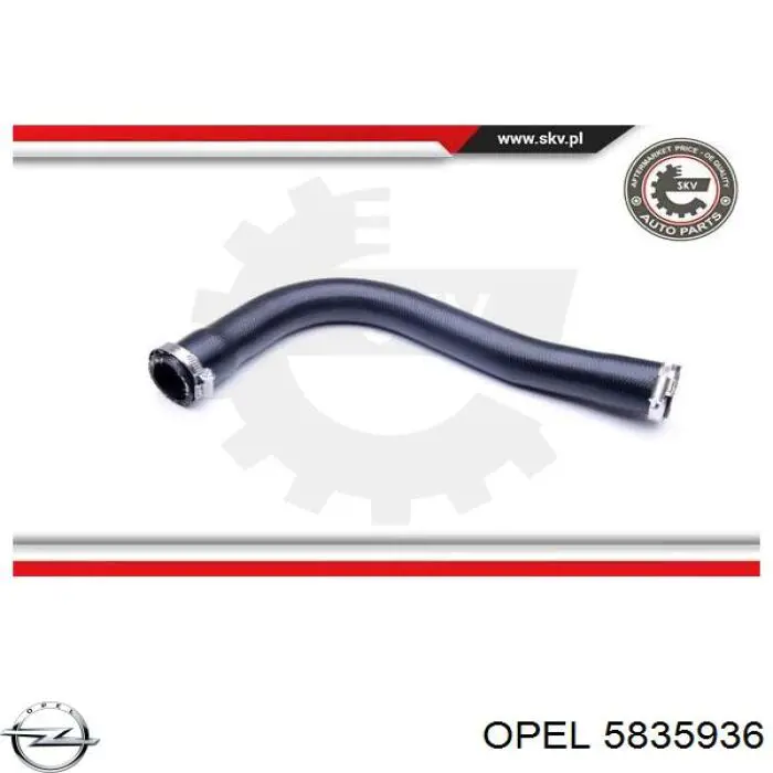  Opel 5835936 ціна, від 17.20 USD