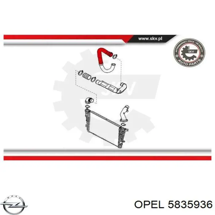  NTY GPPPL028 ціна, від 21.21 USD