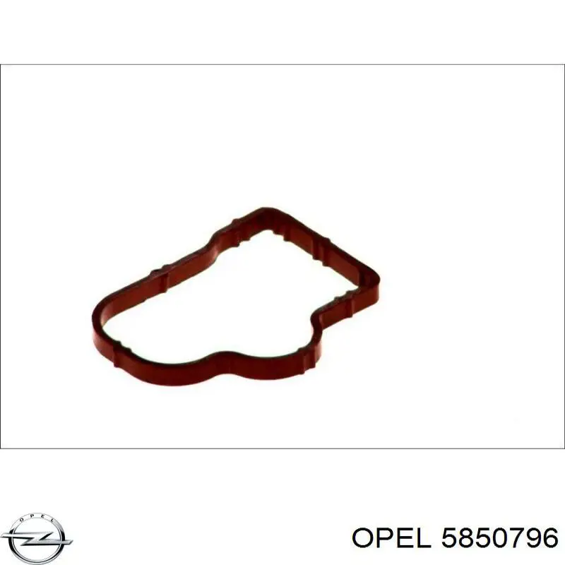 Купити 24420530 Opel Прокладка впускного колектора
