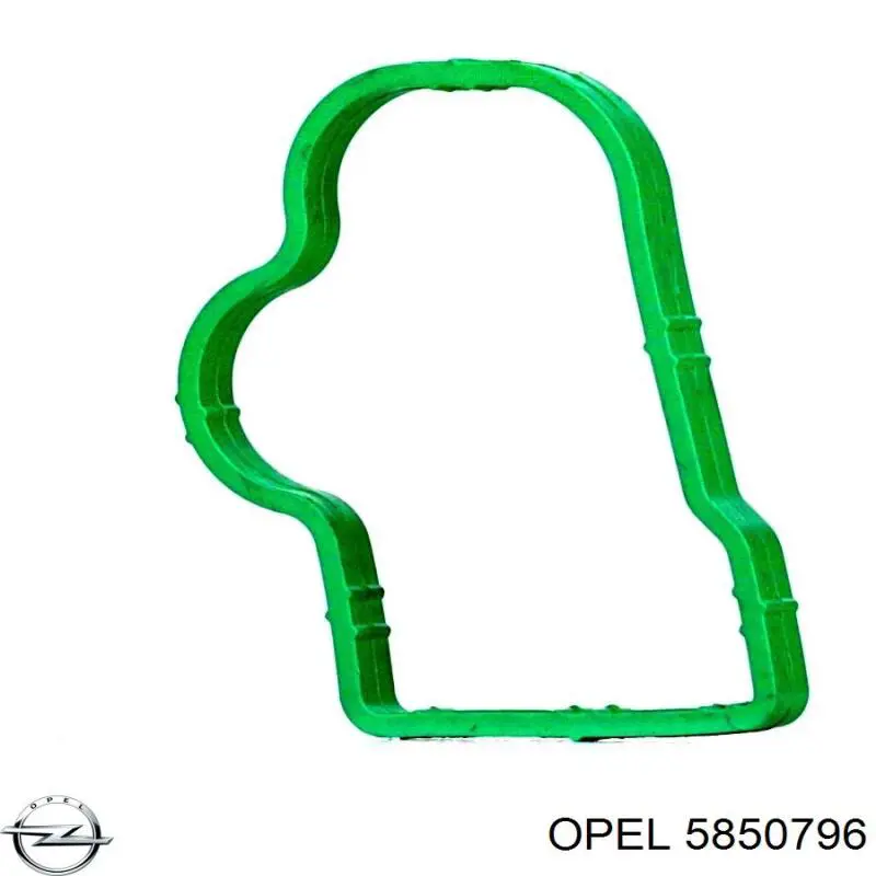 Прокладка впускного колектора 24420530 Opel