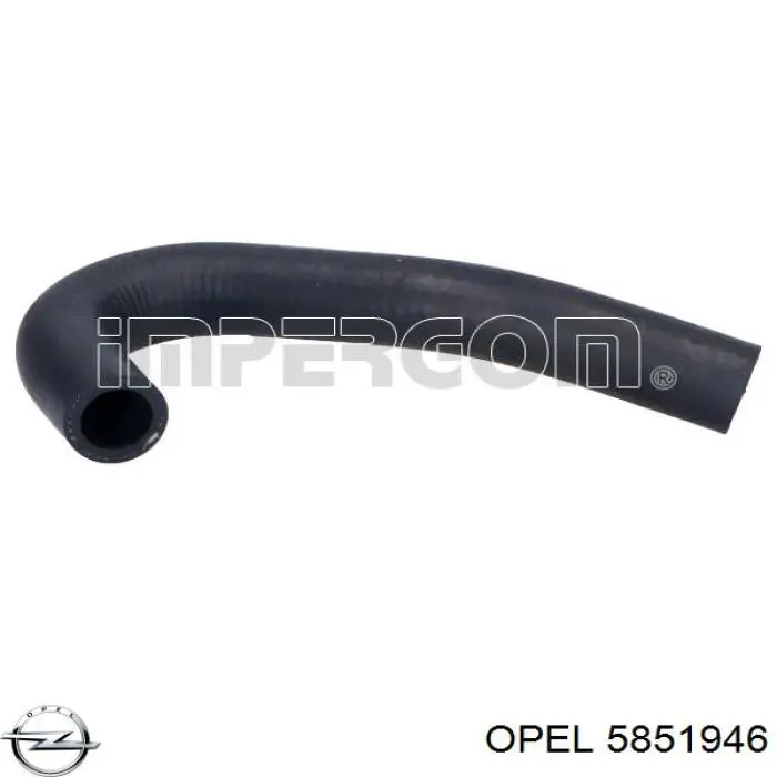 Купити 5851946 Opel Трубопроводи і шланги системи охолодження