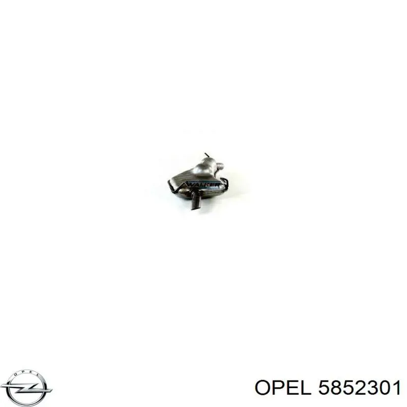 Вихлопна труба Opel 5852301 ціна, від 83.09 USD