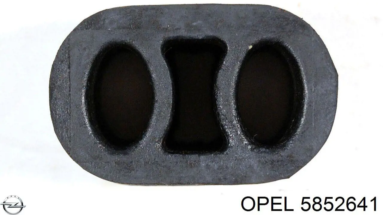 Купити 5852641 Opel Вихлоп