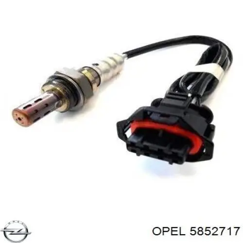 Купити 5852852 Opel Вихлоп