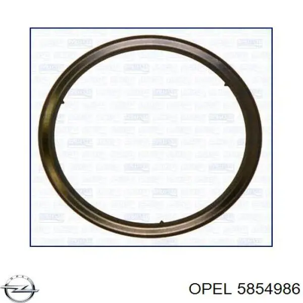 5854986 Opel прокладка каталізатора передня